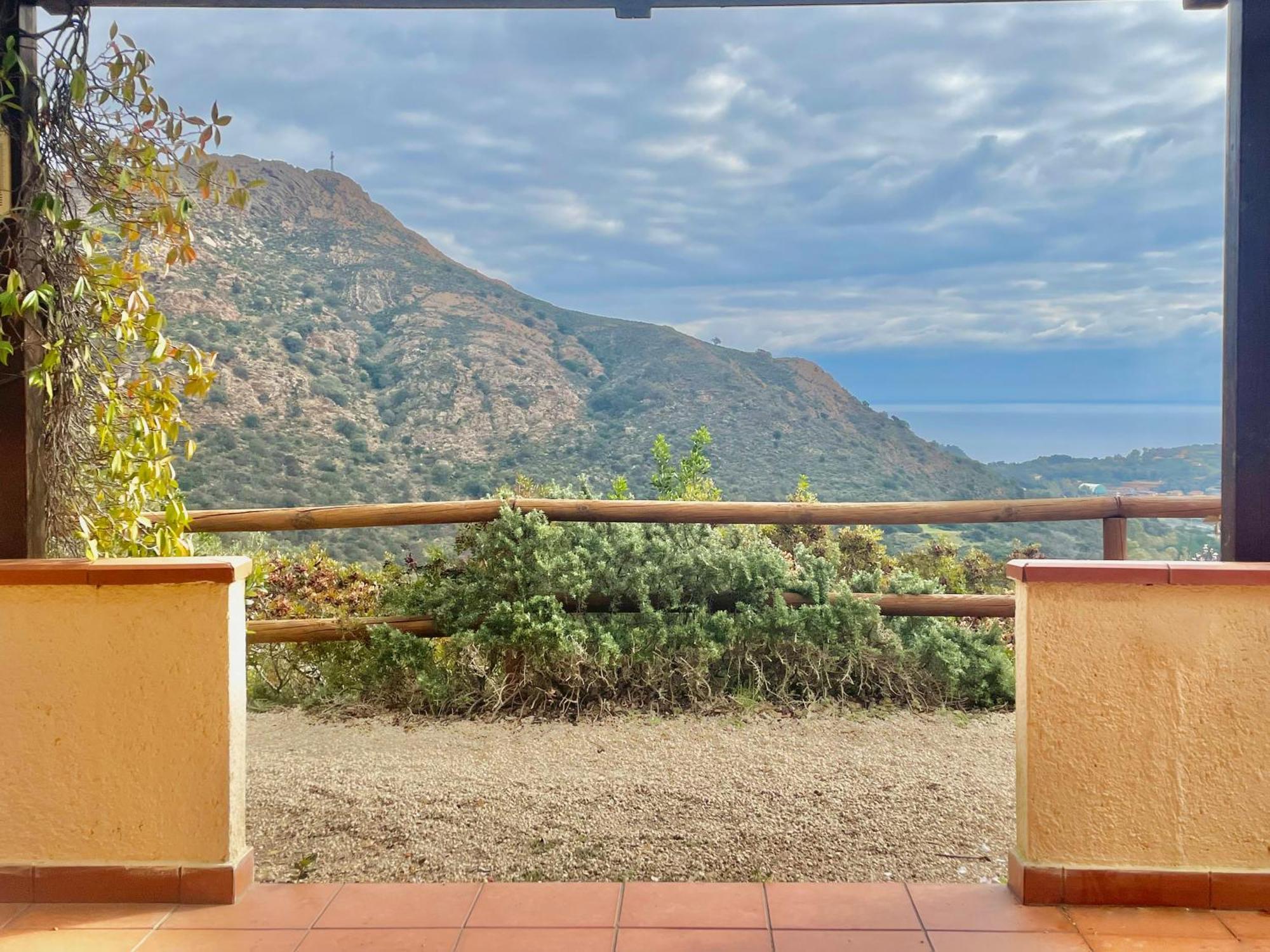 Apartamento Aria Di Collina - Isola D'Elba Porto Azzurro Habitación foto