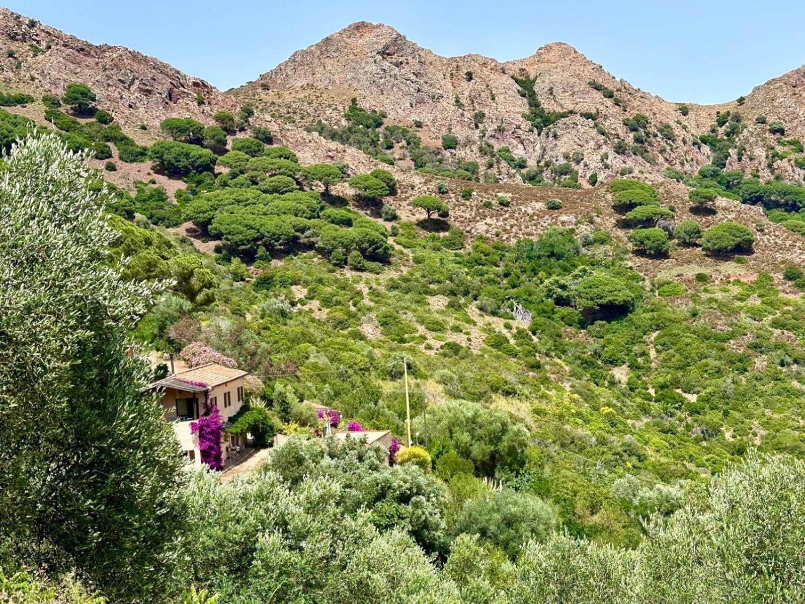 Apartamento Aria Di Collina - Isola D'Elba Porto Azzurro Exterior foto